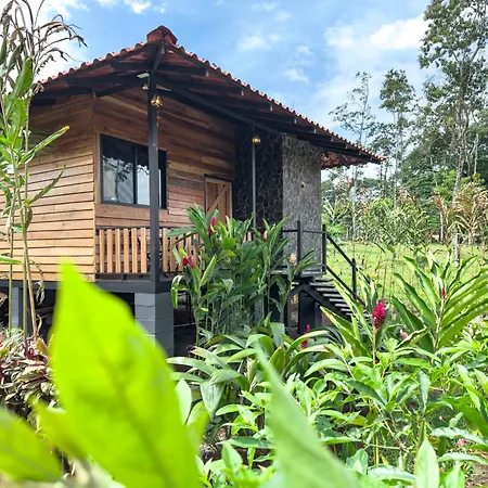 Green Forest Villa-3
